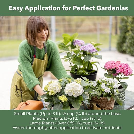 Slow Release Hydrangea Fertilizer with Iron & Sulfur – Indoor & Outdoor Soil Acidifier for Miracle Growth (12 oz)