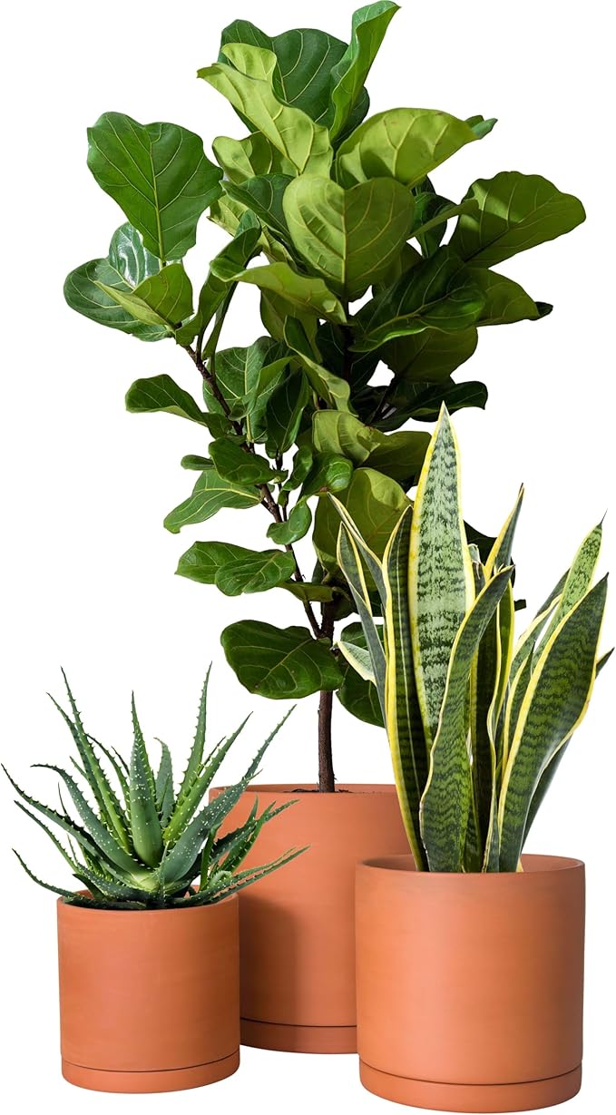 D'vine Dev Terracotta Pots for Plants, 6.5 Inch 7.8 Inch 9.6 Inch, Round Cylinder Planter Pot with Drainage and Saucer, 40-T-C-0