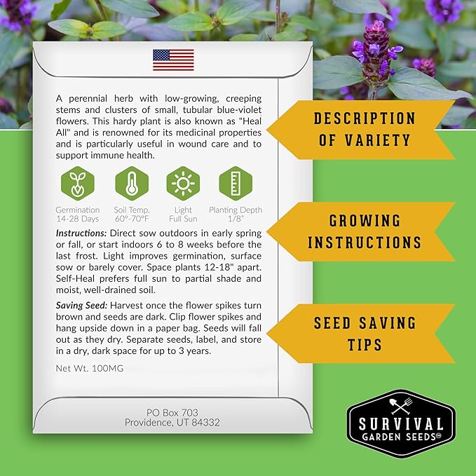 Survival Garden Seeds Selfheal Seed for Planting - 2 Packs with Instructions to Plant & Grow All-Heal Perennial Herb Plants in Your Home Flower & Herb Garden - Non-GMO Heirloom Variety