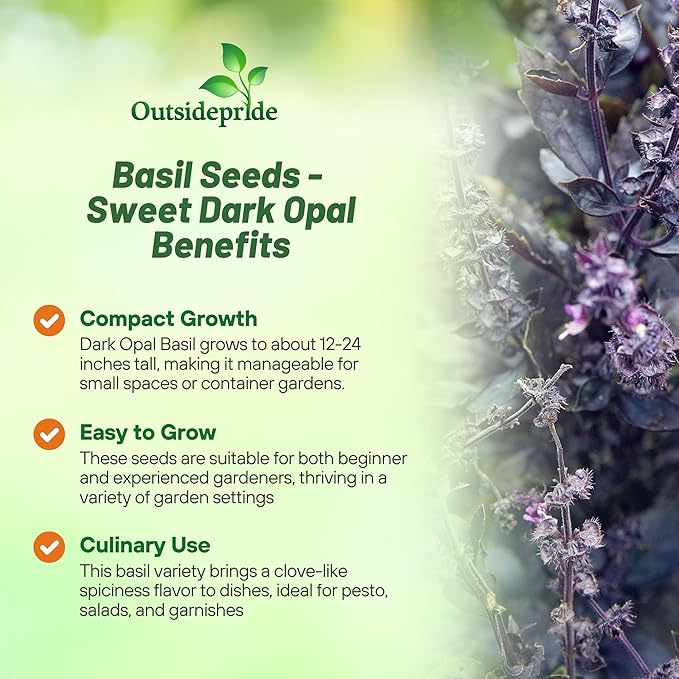 Outsidepride Dark Opal Basil Seeds – 2000 Pieces Annual Purple Basil Herb Seeds, Non-GMO, Ideal for Indoor & Outdoor Gardens, Aromatic Herb Borders for Fresh Flavor & Fragrant Foliage (AAS Winner)