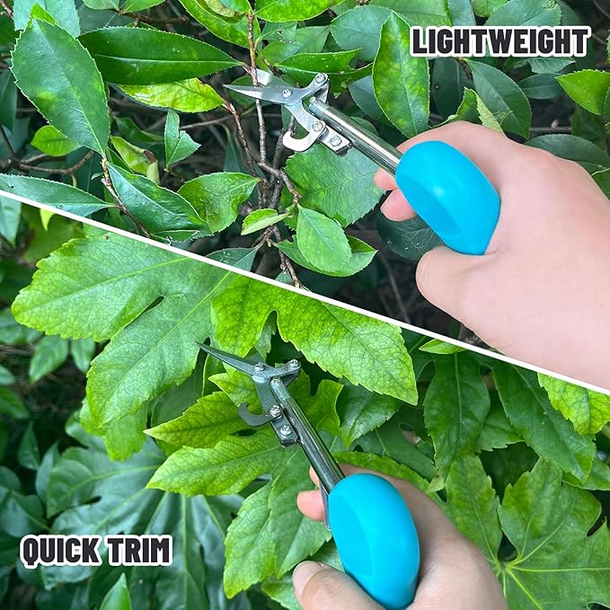 Pointed Stainless Steel Gardening Shears, Hand Pruners, Garden Clippers Handheld, Floristry Scissors, Picking Pepper Wolfberry Fruit (Blue)