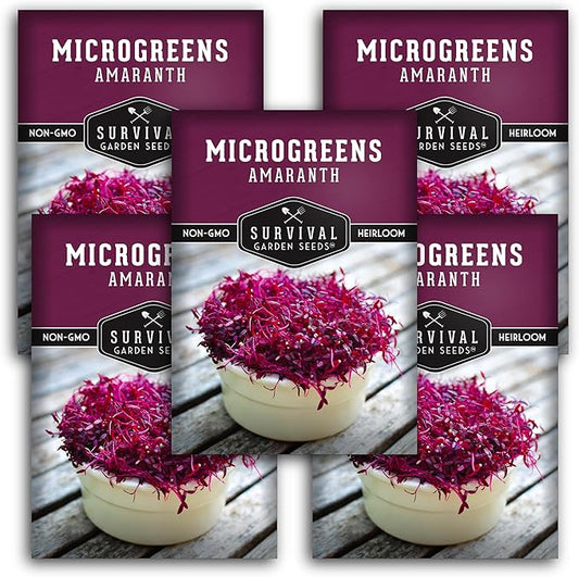 5 Packs Amaranth Microgreens Seeds for Planting and Growing - Plant Green Leafy Micro Vegetable Plants Indoors - Grow A Mini Windowsill Garden - Non-GMO Heirloom - Survival Garden Seeds