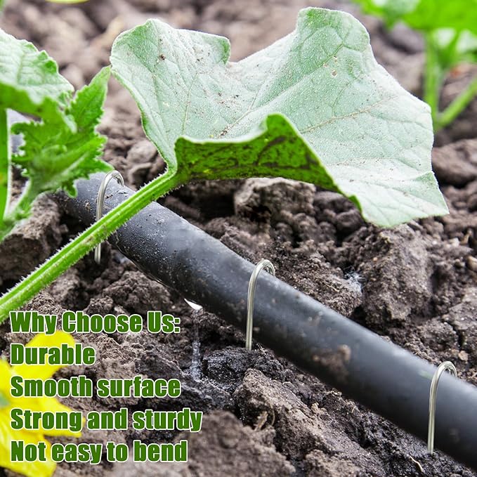 200Pcs Irrigation Drip Tubing Landscape Pins J Shape Garden Stakes 5 Inch Landscaping Staples Lawn Pins for Drip Tubing (Hold Drip Tubing Up to 5/8" Diameter)