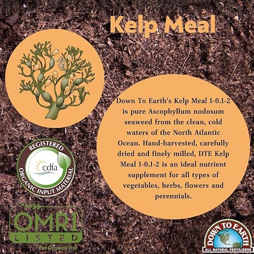 Down to Earth Kelp Meal 1-0.1-2, 5lbs