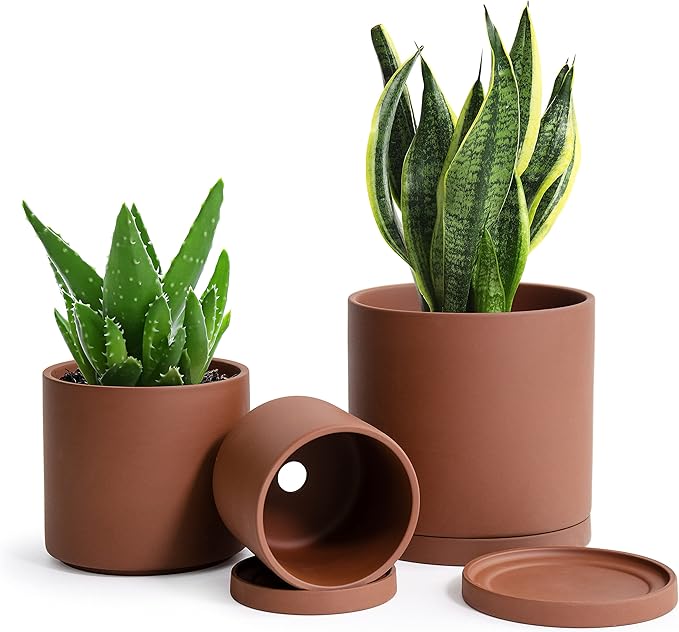 D'vine Dev Rust Terracotta Pots for Plants, 4.2 Inch 5.3 Inch 6.5 Inch, Succulent Planter Pot with Drainage and Saucer, 40-T-A-3