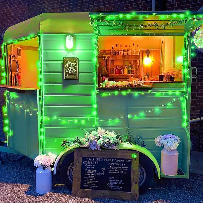 33ft 100 LED String Lights Indoor - Christmas Lights Outdoor 8 Modes Clear Wire Waterproof Plug in Twinkle Fairy Lights for Christmas St Patricks Day Decorations, Green