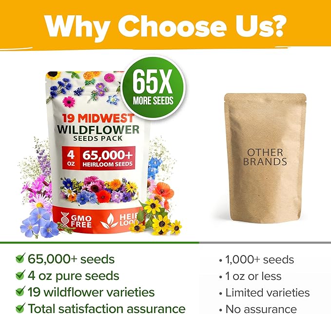 HOME GROWN Midwest Wildflower Seeds Mix 4oz | 65,000 Non-GMO, USA Sourced, High Germination Rate | Heirloom Pollinator Flowers Seed Mix | Wild Flower Seeds Bulk | Covers 500 sq. ft.