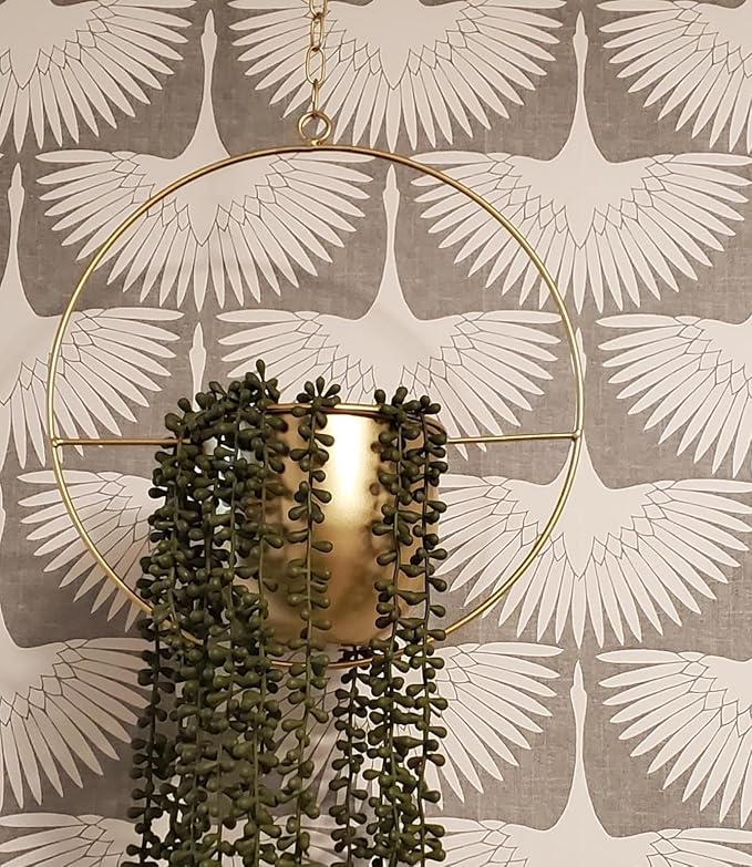 2 Pack Gold Hanging Planter, Hanging Planters for Indoor Plants with 5.5" Pot + Ceiling Hook + Extender Chain, Gold Plant Hanger, NO Plant incld