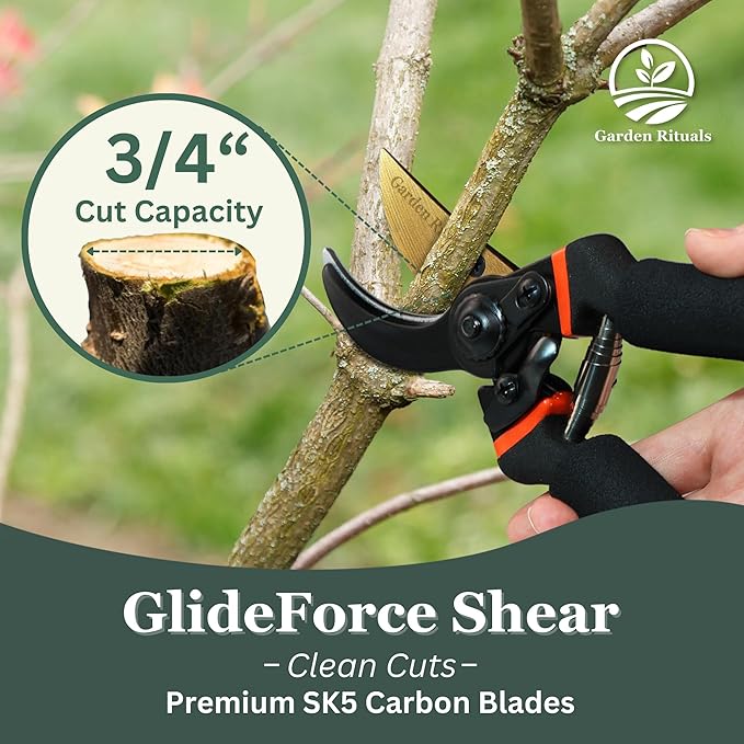 Heavy Duty Pruning Shears for Gardening | High-Grade Titanium Steel Blade Shears for Indoor Plants & Roses with Saftey Lock | Versatile Bypass Pruning Shears for Small & Large Plants