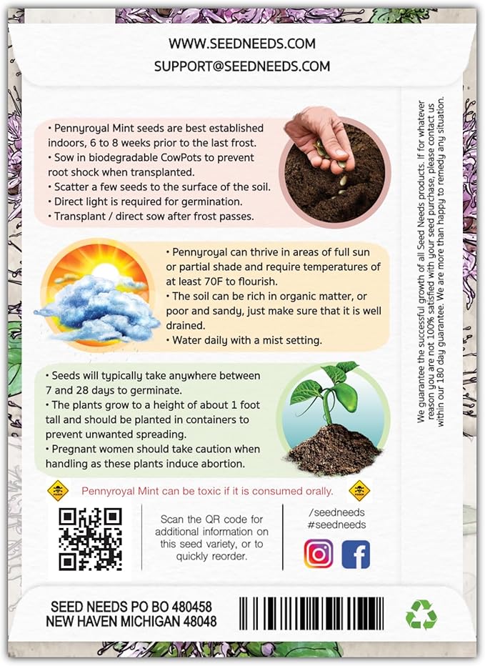 Seed Needs, Pennyroyal Mint Seeds - 1,000 Heirloom Seeds for Planting Mentha pulegium - Medicinal Herb Non-GMO & Untreated for Indoor/Outdoor Gardens (1 Pack)