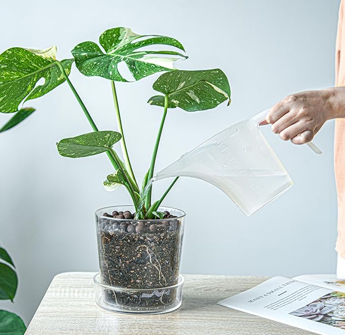 Phoenix Vine 6.5 InchClear Acrylic Planter Pot with Tray, Orchid Pot with Drainage Holes, Deep Saucer for Bottom Watering, Transparent Containers for Indoor Plants, Herbs, Set of 2, 91-A-F-2