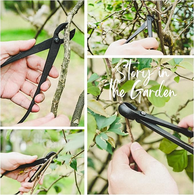 15-Piece Bonsai Tree Kit, Bonsai Tool Set, Bonsai Starter Kit, Carbon Steel Scissors, Cutter Shears, Rake with Spatula, Perfect Gardening Trimming Pruning Tools