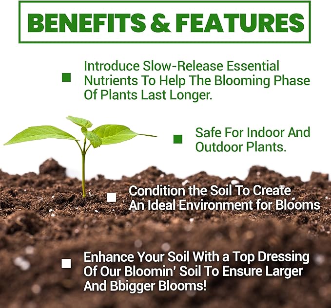 Elm Dirt Premium Bloom Soil - 100% Organic for Outdoor & Indoor Plants | Soil Enhancer for Plant Growth & Healthy Nutrients - Big Bloom Activator, 6 lbs