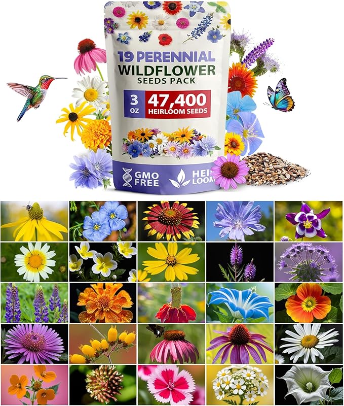 90,000 Wildflower Seeds - 3oz Pure Wild Flower Seed Pack - 25 Variety - Perennial Flower Seeds for Attracting Birds & Butterflies - Open Pollinated, Flower Garden Seeds for Planting Outdoors