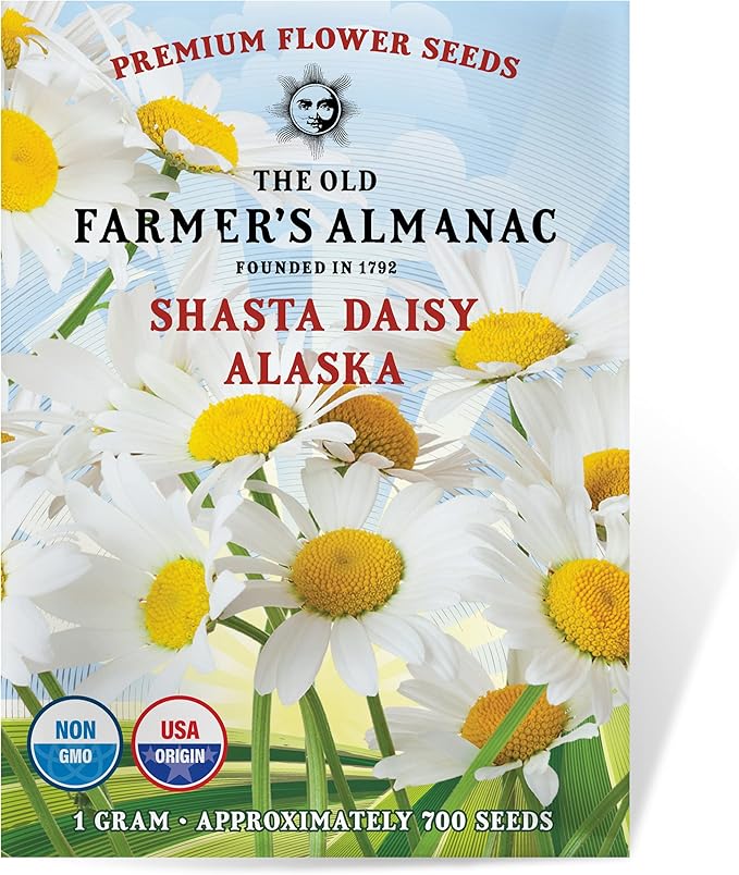 The Old Farmer's Almanac Daisy Seeds (Shasta Alaska) - Approx 700 Flower Seeds - Non-GMO, Premium, Open Pollinated