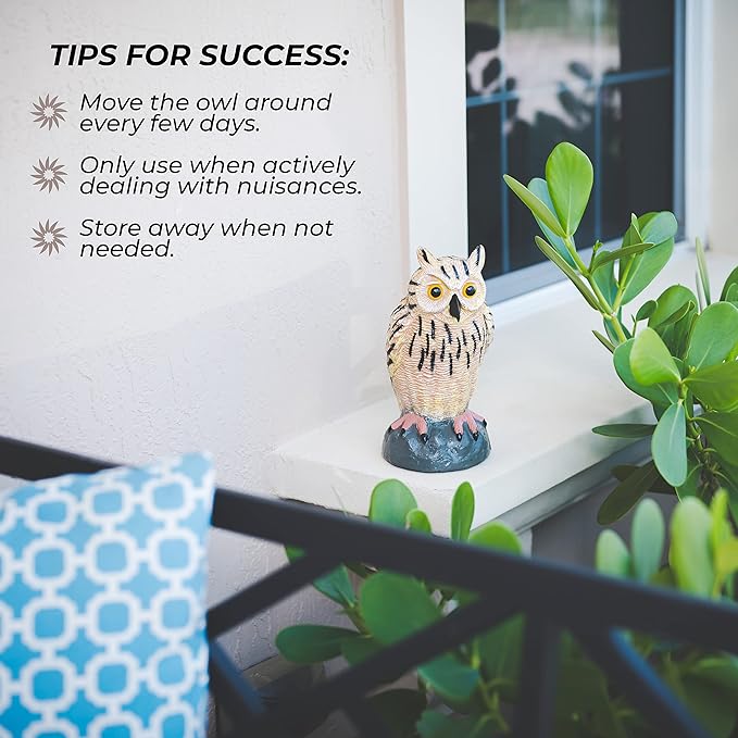 Galashield Owl Decoy | Plastic Fake Owls | Owl Statue for Garden & Outdoors [Set of 3]