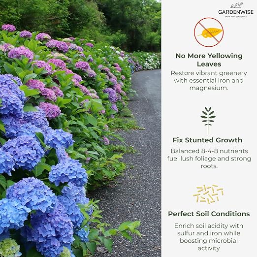 Slow Release Hydrangea Fertilizer with Iron & Sulfur – Indoor & Outdoor Soil Acidifier for Miracle Growth (3 qt)