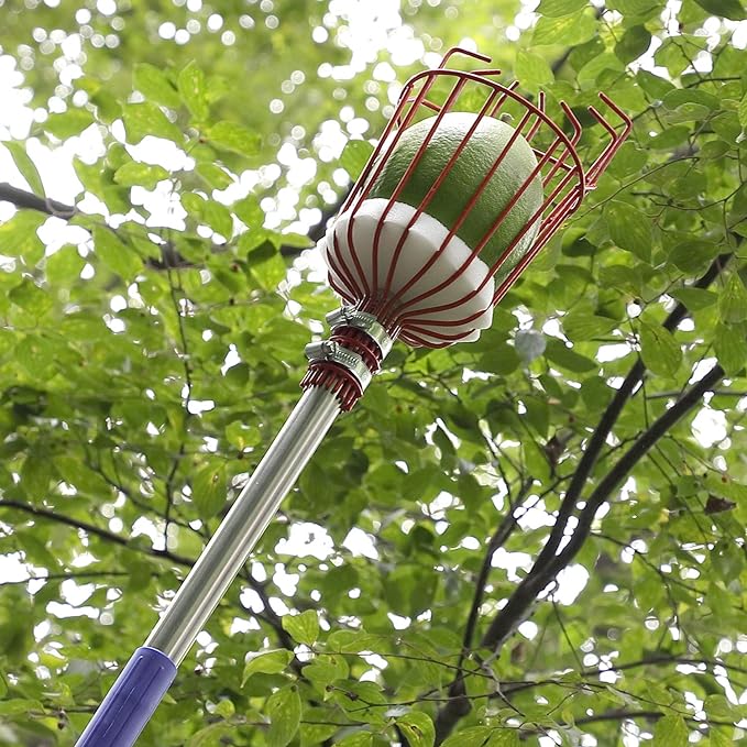 Fruit Picker Tool,10 FT Long Fruit Picker Equipped with Optional Splicing of Lightweight Stainless Steel to Pick Apples, Oranges and Fruit Trees