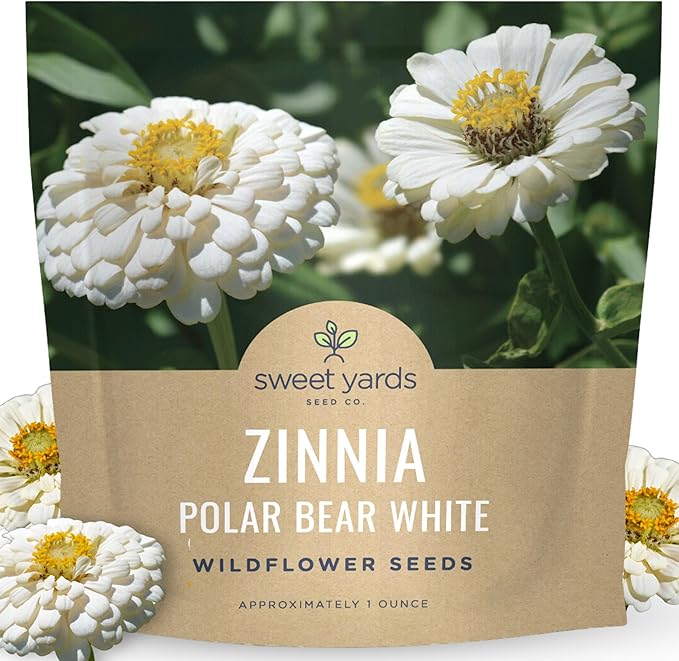 Zinnia Polar Bear White - Large 1 Ounce Packet - 4,000 Flower Seeds for Planting - Zinnia elegans