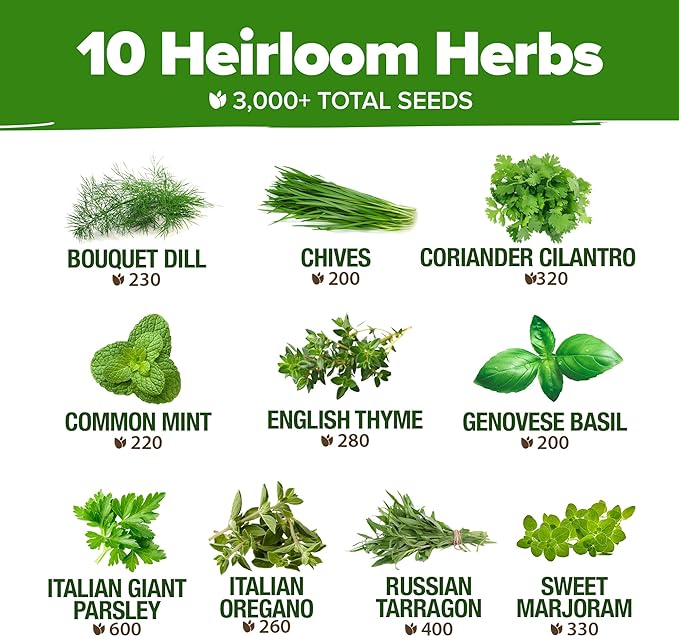 10 Culinary Herb Seeds - Non-GMO, Heirloom Seeds - 3000+ Seeds for Planting for Outdoor or Indoor Herb Garden, Basil, Cilantro, Parsley, Chives, Thyme, Oregano, Dill, Marjoram, Mint, Tarragon