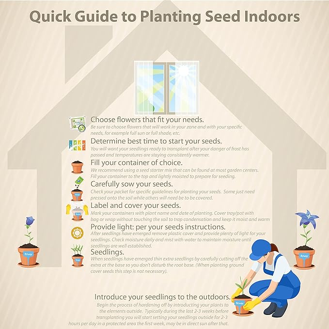 Outsidepride 1/4 lb. Perennial Mirabilis Jalapa Four O' Clock Red Flower Seeds for Planting