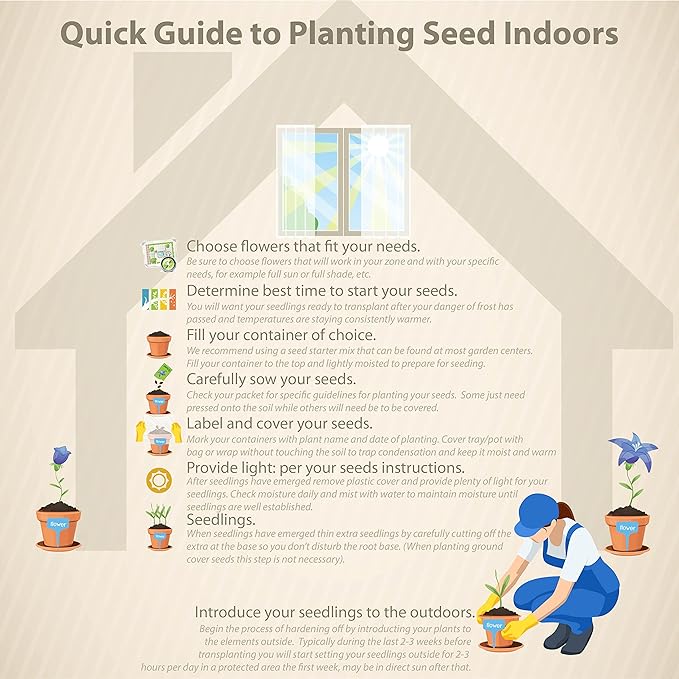 Outsidepride 1/4 lb. Perennial Blue Flax Flower Seeds for Planting