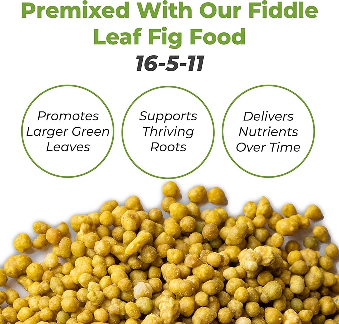 Fiddle Leaf Fig Soil by Perfect Plants 8QTS, Premium Professional Blend for All Fiddle Leaf Figs