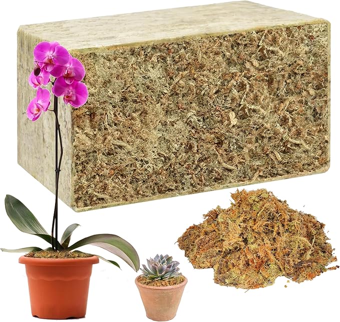 Hourleey 1.1 lb Sphagnum Moss for Plants, Premium Natural Long Fibered Dried Moss Potting, Sphagnum Peat Moss Bulk for Orchids Succulent Carnivorous Potted Plant Reptiles Medium Sarracenia