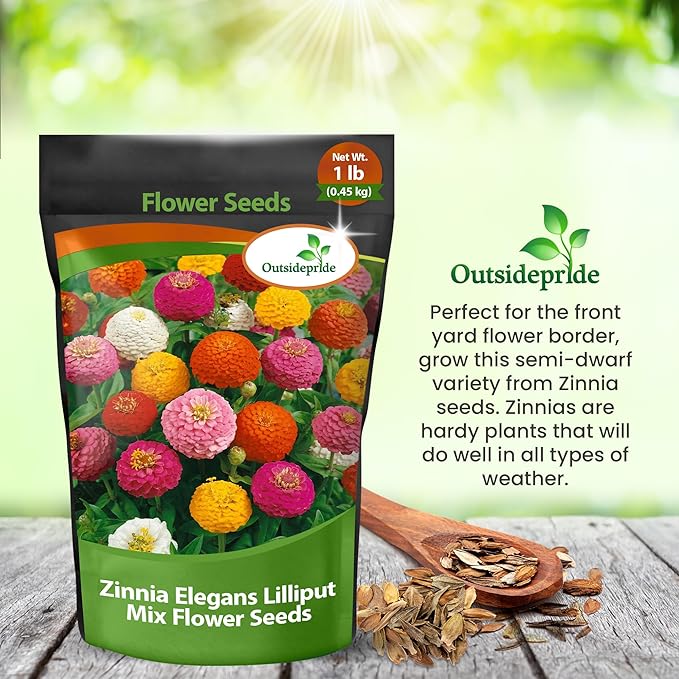 Outsidepride Zinnia Seeds - 1 Lb. Annual Blend of Hardy Compact Mixed Color Ball-Shaped Blooms for Planting in Outdoor Containers, Borders, Flower Beds, Cutting Gardens & Pollinator-Friendly Spaces