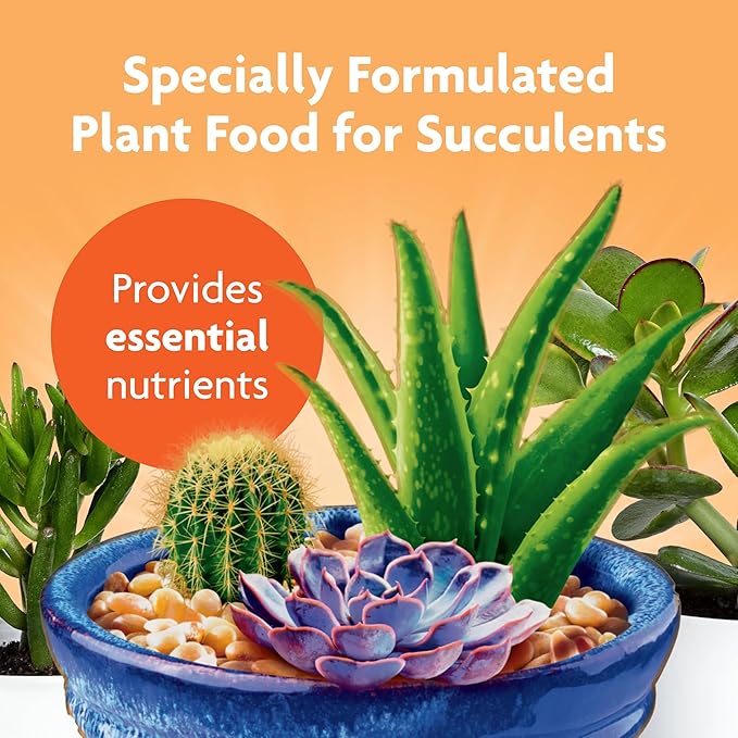 Miracle-Gro Succulent Plant Food, 8 oz., For Succulents including Cacti, Jade, And Aloe