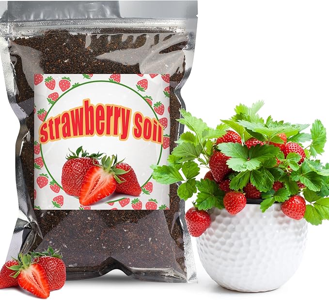 Organic Strawberry Soil Mix 4qt, Indoor Plants Potting Mix for All Potted Strawberry, Grow Healthy houseplants Indoors