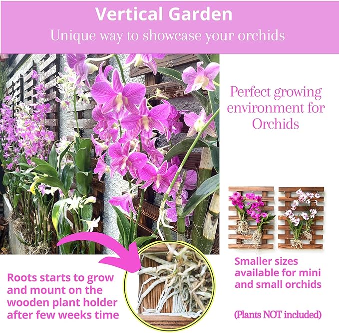 ShopLaLa Wall Planter - Hanging Wooden Wall Planter for Indoor Outdoor Plants, Vertical Garden, Plant Wall Mount Planter, Air Plant Succulent Holder for Flower Pot Display Hanger Frame 47.2" (120cm)