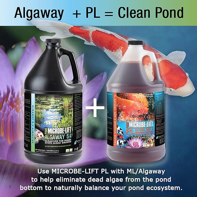 MICROBE-LIFT ALGAGAL Algaway 5.4 Algae Control Treatment for Ponds and Water Gardens, Safe for Koi Fish, Goldfish, Plants, and Decorations, 1 Gallon