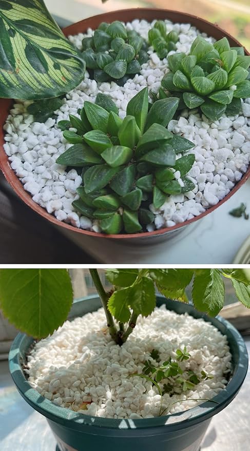 10QT Organic Perlite Horticultural Soil Amendment for Plants and Enhanced Drainage Enhanced