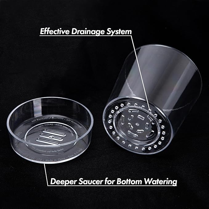 Phoenix Vine 6.5 Inch Clear Acrylic Planter Pot with Tray, Orchid Pot with Drainage Holes, Deep Saucer for Bottom Watering, Transparent Containers for Indoor Plants, Herbs, Set of 1, 91-A-F-1