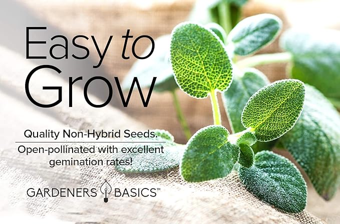 Gardeners Basics, Sage Seeds for Planting Heirloom, Non-GMO Herb Variety- Great for Indoor and Outdoor Gardening