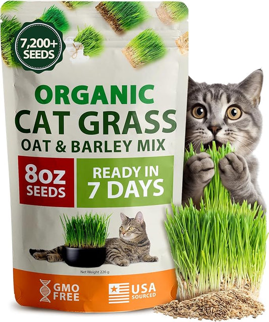 HOME GROWN Organic Cat Grass Seeds Pack 8oz – 7200 𝗡𝗢𝗡-𝗚𝗠𝗢 𝗨𝗦𝗔-𝗦𝗢𝗨𝗥𝗖𝗘𝗗 Heirloom Oat & Barley Grass Seeds for Indoor Cats – High Germination Hairball Relief, Pet Grass Ready in 7Days
