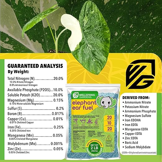 Wellspring Gardens Elephant Ear Fuel Fertilizer - Water-Soluble Fertilizer - 20-10-20 Blend - Elephant Ear Food - Plant Food - Elephant Ear Plant Fertilizer - Premium Blend for Plants (2 Pounds)