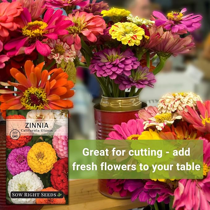Sow Right Seeds - California Giants Mix Zinnia Seeds for Planting - Non-GMO Heirloom Packet to Grow Your Flower Garden - Attract Bees and Butterflies - Great to Cut and Come Again - Summer Annual (2)