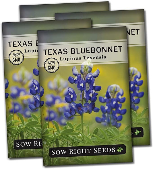 Sow Right Seeds - Texas Bluebonnet Seeds to Plant - Non-GMO Heirloom Seeds -Full Instructions for Planting - Beautiful Perennial Blue Blooms -Sweet Addition to Your Yard (4)