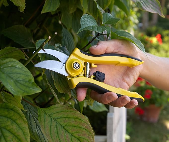 Dramm 18044 ColorPoint Bypass Pruner with Stainless Steel Blade, Green