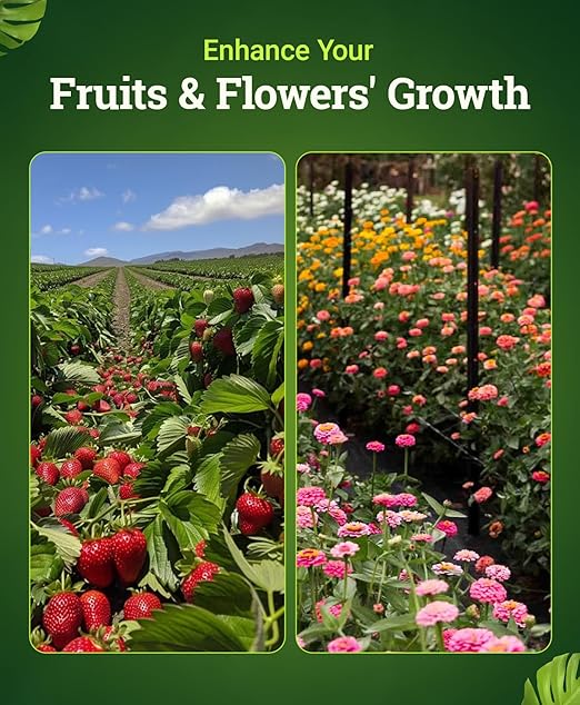 FoxFarm Cultivation Nation Bloom Fertilizer - Enhanced Bud & Fruit Development, Ideal for Soil, Soilless Media, Hydroponics & Aeroponics - Part 3 of 3-Part Feeding Program- NPK 0-5-4 (Pint)