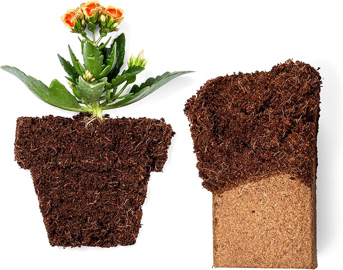 Coco Bliss Coco Coir Bricks (6-Pack, 650gm Bricks) - Organic Coco Coir for Plants - OMRI-Listed Coconut Coir for Plants - Coconut Coir Bricks - Coco Peat for Plants, Garden Soil, & Organic Mulch