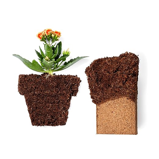 Coco Coir 650gm Bricks (5-Pack) + Neem Bliss (5lbs) - OMRI-Listed Coco Coir & Neem Seed Meal Fertilizer for Plants - All Natural Neem Cake Fertilizer - Organic Coco Coir for Plants, Herbs, Gardening