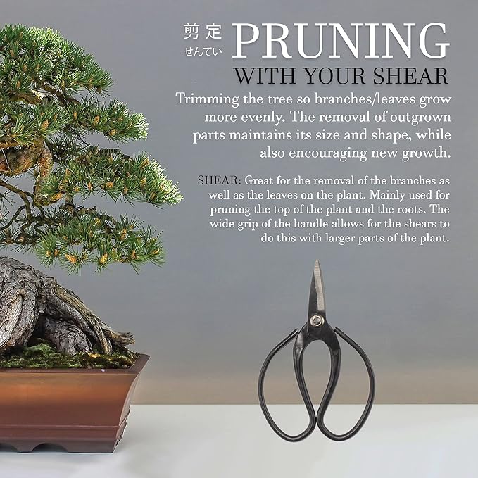 BambooMN Bonsai 7" Heavy Duty Butterfly Shear - 1 Piece