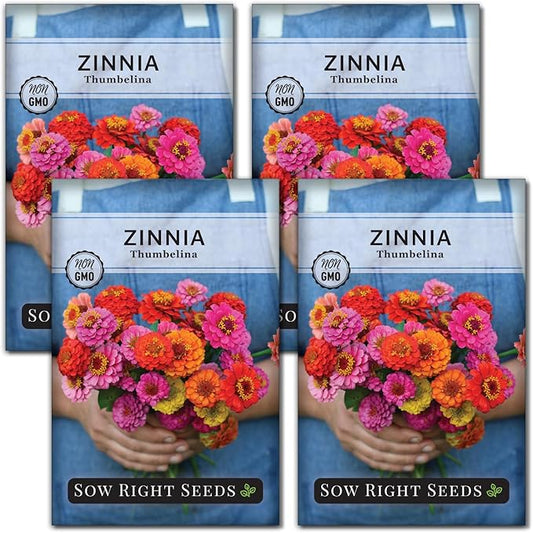 Sow Right Seeds - Thumbelina Zinnia Seeds for Planting - Beautiful to Plant in Your Flower Garden - Non-GMO Heirloom Packet with Instructions - Annual Cut and Come Again for Bouquets (4)