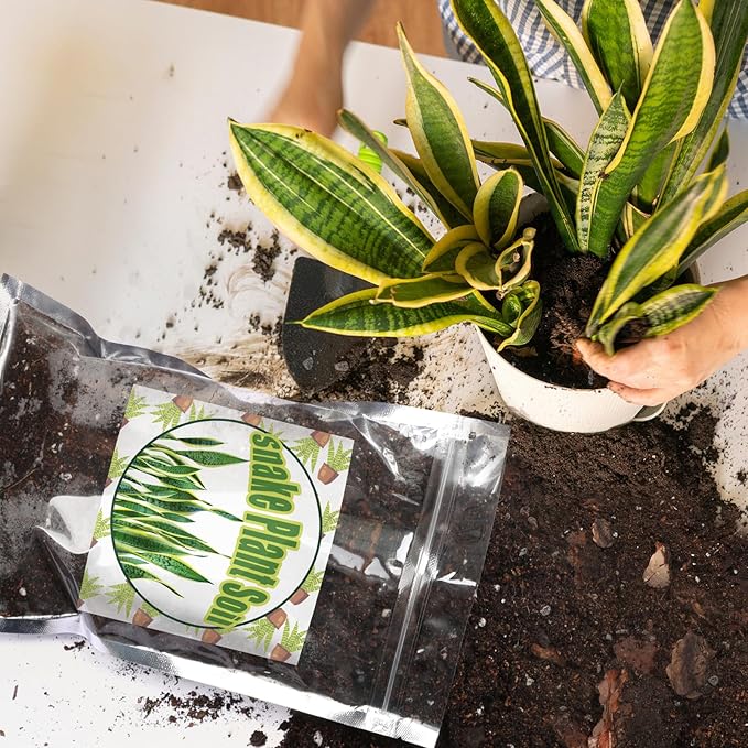 Premium Snake Plant Soil Mix 4qt, Indoor Plants Potting Mix for All Potted Snake Plants, Promote Healthy Growth and Easy Care