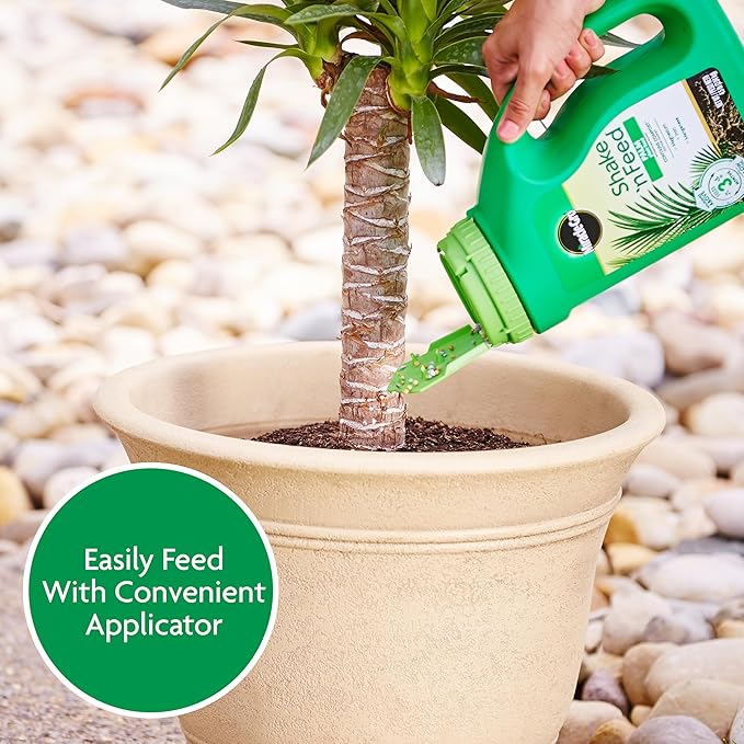 Miracle-Gro Shake 'N Feed Palm Plant Food, For Container and In-Ground Plants, Palm Trees, Cycads and Tropical Plants, 4.5 lbs.