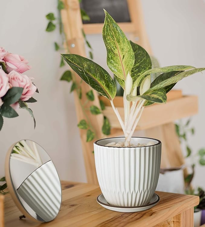 D'vine Dev Set of 2 Stoneware Planter Pots, Ceramic Pot with Drainage Hole and Saucers, 4.5 Inch 5.8 Inch, Ivory, 99-D-1