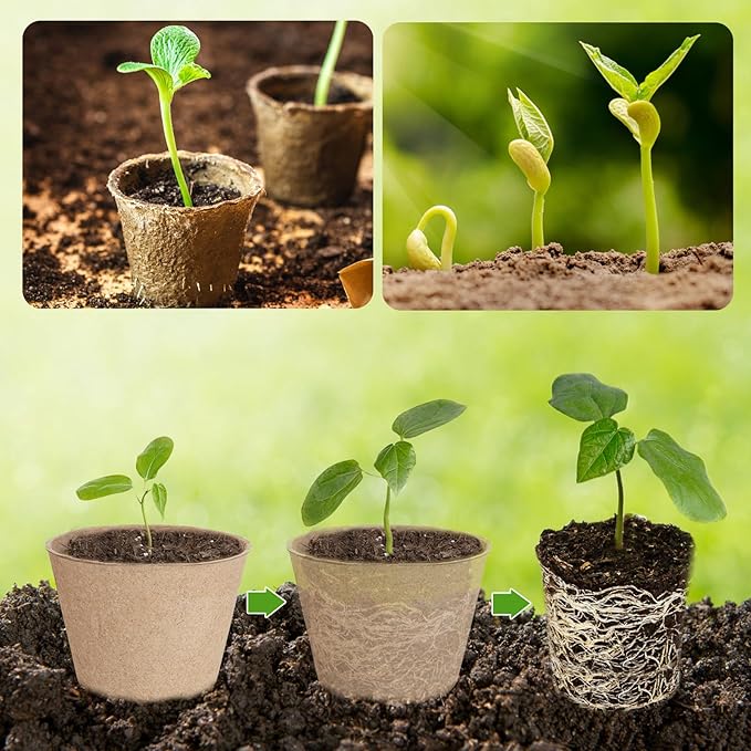 66 Pack Organic Peat Pots, 4 Inch Nursery Pot, Round Plant Seedling Pots with Drainage Holes, Small Seed Starting Starter Tray Bulk, Garden Germination Container with 66 Planting Labels(10 cm)